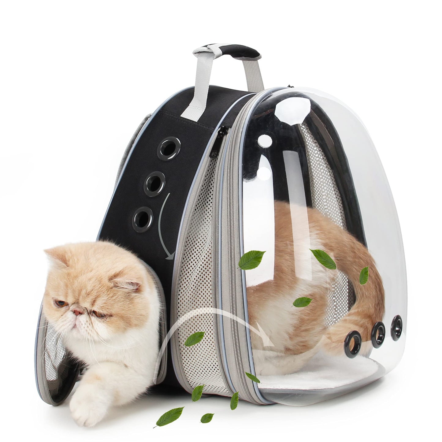 LOLLIMEOW Pet Carrier Backpack, Bubble Backpack Carrier, Cats and Puppies,Airline-Approved, Designed for Travel, Hiking, Walking & Outdoor Use