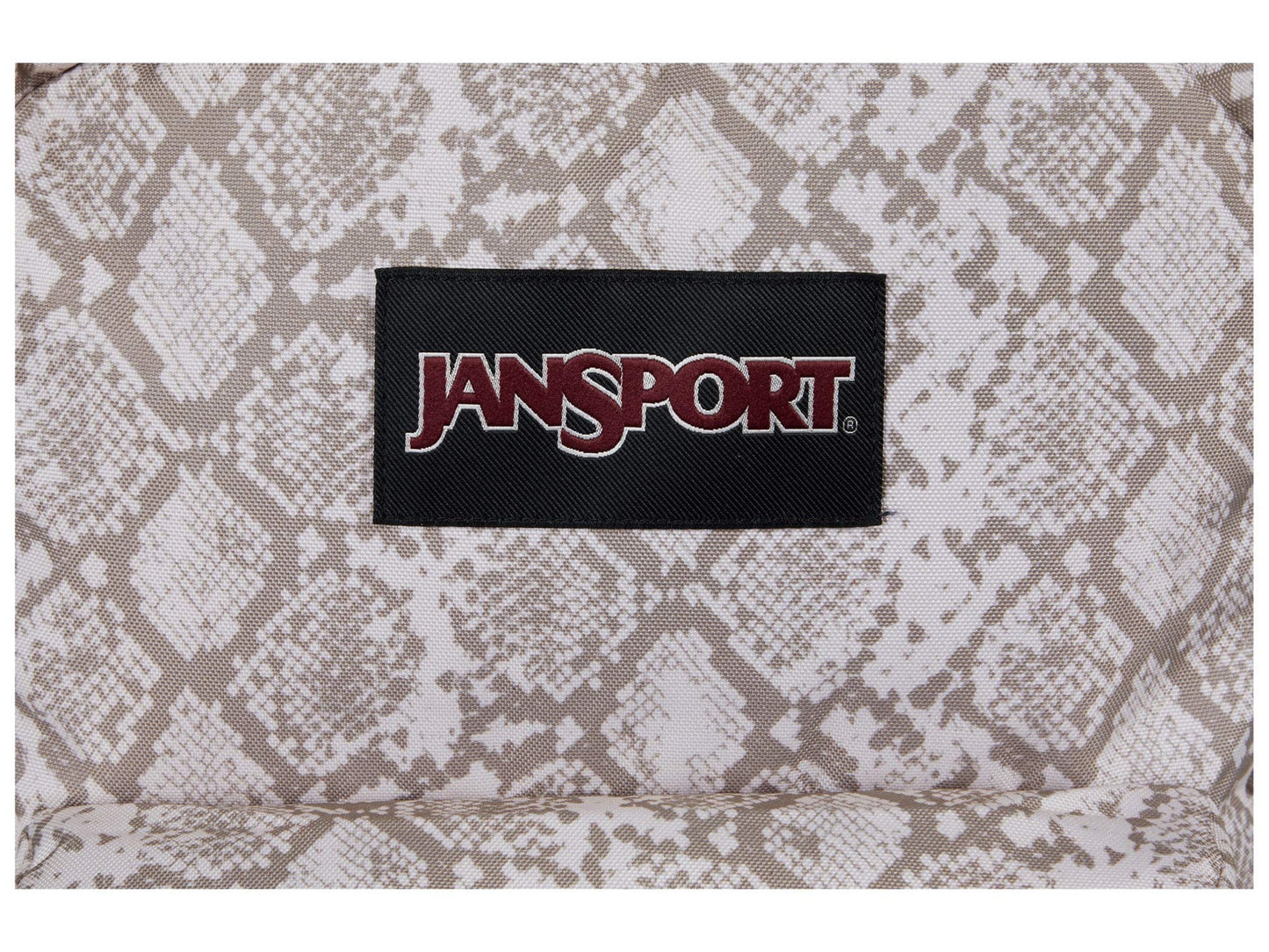 JanSport Laptop